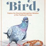 City Bird by Vinet and Harrison