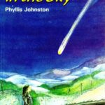 A Comet in the Sky cover