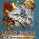 Living Fossils by Carl Werner