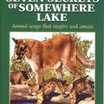 The Seven Secrets of Somewhere Lake by Sam Campbell