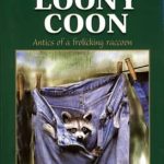 Loony Coon by Sam Campbell