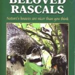 Beloved Rascals by Sam Campbell