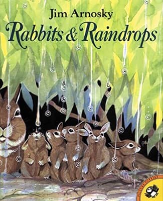 Rabbits & Raindrops by Jim Arnosky