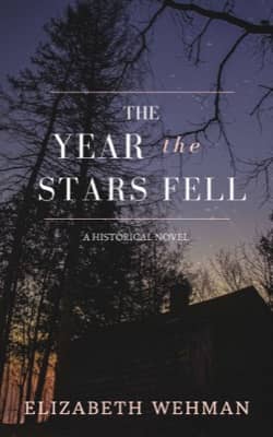 The Year the Stars Fell by Elizabeth Wehman