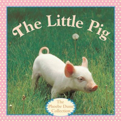The Little Pig by Judy Dunn