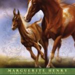 Stormy, Misty's Foal by Marguerite Henry